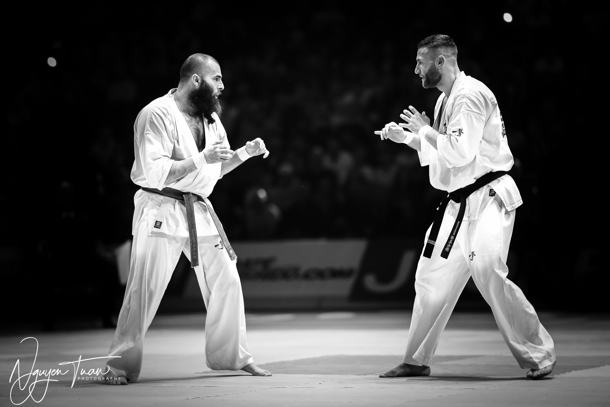 20190324 Festival des Arts Martiaux 6134